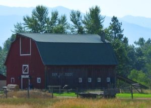 Bitterroot Valley Barn1