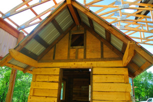 Log Cabin tiny house