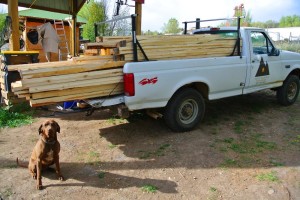logs for tiny house